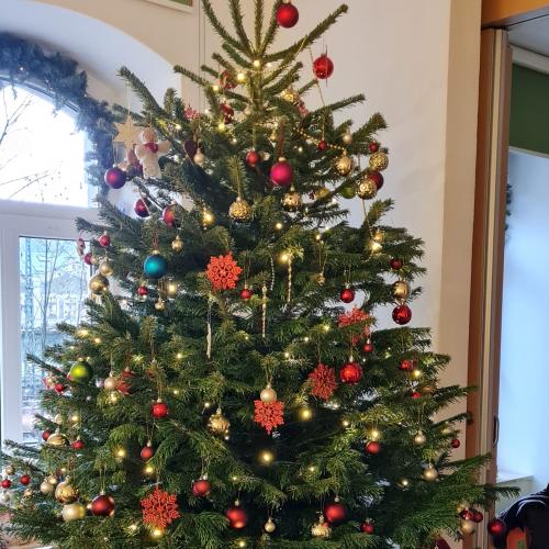 Weihnachtsbaum