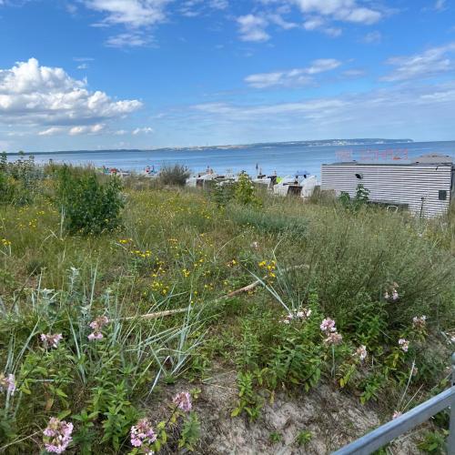 Strandtag