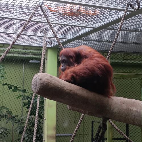 Unser Zoobesuch im Sommer 2025